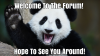 Namepros_Welcome_Panda_(myway2fortune.info).png