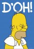 homer-simpson-doh[1].jpg