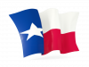 texas-icon.png