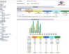 wolverine-org-stats.JPG
