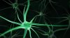 neurons-720x396.jpg