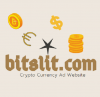 bitslit logo.png