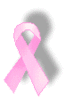 pinkribbon1.gif