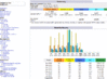 BYIBIcom-2010stats.gif