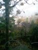 todayview.jpg