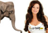 gdphant.jpg