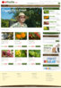 EFRUITSHOMEPAGE.jpg
