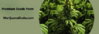 marijuana_seeds.jpg