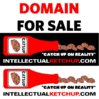 INTELLECTUALKETCHUPFOR SALE.jpg