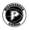 Mississauga Power Basketball Circle Logo - Hi Resolution.gif
