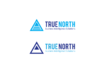 truenorth2.png