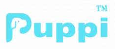 Logo 1.png