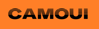 CAMOUI Brandable DomainnName (4).png