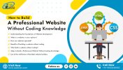 How to Build a Professional Website Without Coding Knowledge(08-12-23).jpg