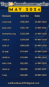 TOP 10 Domains sales-may - 2024.png
