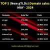 TOP 5 (New gTLDs) sales MAY - 2024.png