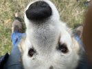 IMG_2632.jpeg