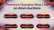 XpostAuction3.png