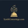 synthconcierge_com.jpg