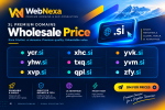 WEBNEXA_3L.png
