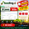Seeding.si Green Domain Auction.png