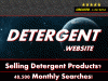 Detergent.website - Template.gif