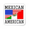 WEAREALLMEXICANS 8.jpg