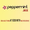 peppermint copy.jpg
