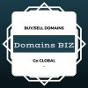 Domains BIZ (1).jpg