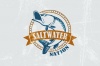 bm-domain-SaltwaterNation.png