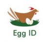 egg id.JPG