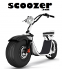 scoozer.png