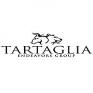 Tedvgroup