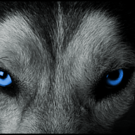 thewolf