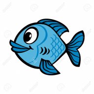 Domain Fish