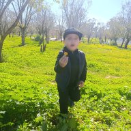 Amjed Nas