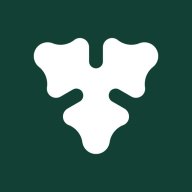 ArtDomainStudio
