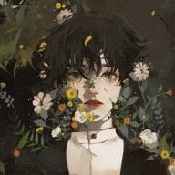 Levifr