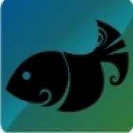 TheBigFish