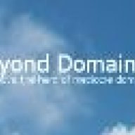 BeyondDomaining.com