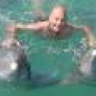 Kiwidiver