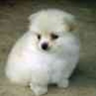 nellie1208