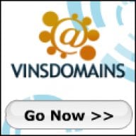 vinsdomains.com