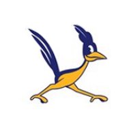 Roadrunner Domains