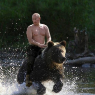 VladBearMaster