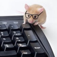 DomainMouse