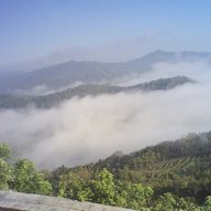 wiyata