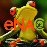 Enac Domains
