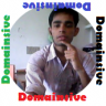 Domainsive