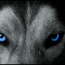 thewolf